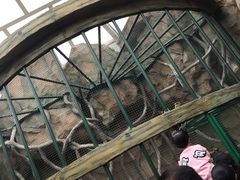 -西安秦岭野生动物园