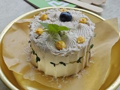 -野草莓自由市场