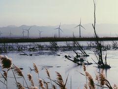 -野鸭湖国家湿地公园