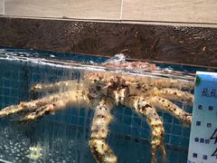 -良师门滨海人家·海鲜·家常菜(滨海城店)