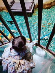 -酷嗒动物文化乐园(cutezoo西溪乐天城店)