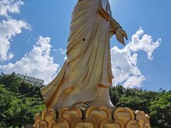 -西双版纳原始森林公园