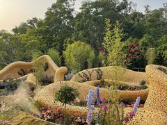 -深圳仙湖植物园