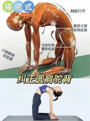 -卡莫瑜伽·普拉提