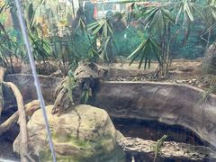 -上海大自然野生昆虫馆(东方明珠·爬宠昆虫探索中心)