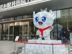 -东北大学附属辽宁爱尔眼科医院