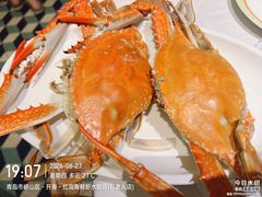 -开海·红岛海鲜虾水饺(石老人店)