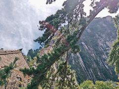 -华山风景名胜区-苍龙岭