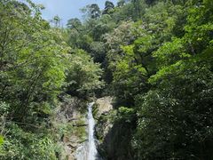 -东天目山风景区