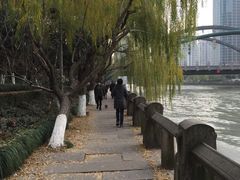 -运河游船(武林门码头)