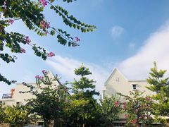 -江门古兜温泉小镇