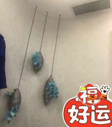 -健身堂科技美肌SPA