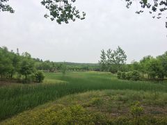 -东郊湿地公园