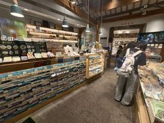 -猫的天空之城概念书店(苏州平江店)