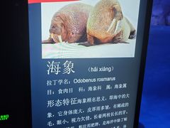 -蓬莱欧乐堡海洋极地世界