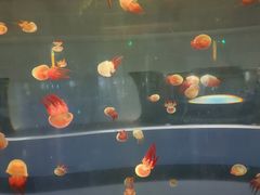 -常州海昌海洋探索馆