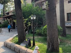 -静园(和平区)