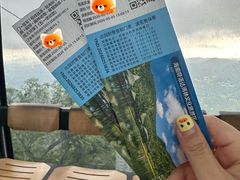 -呀诺达热带雨林