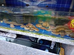 水产区-东海章鱼馆(恒瑞街店)