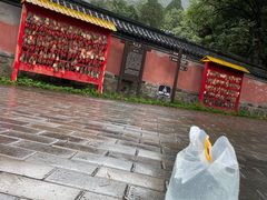 -阳台山自然风景区