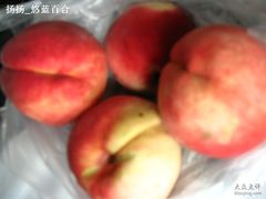 -卜蜂莲花(杨高南路店)