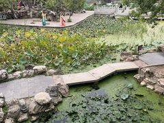 -莲湖公园