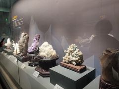 -湖南省地质博物馆