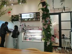 -酷豆宠物咖啡·宠物美食·撸猫馆