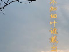 -星巴克臻选(深圳欢乐港湾店)