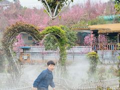 -玫瑰庄园·自助烧烤·烤全羊·团建拓展(龙泉山店)