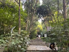 -云龙山