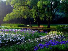 -上海共青森林公园