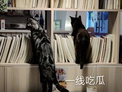 -有何Book(六堰体育馆店)