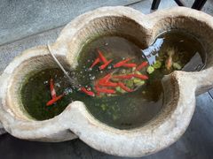 -到家尝北京菜(西坝河店)