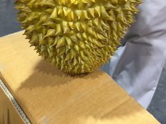 -江杨农产品批发市场