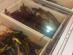 -王老六铁锅炖鱼(圣亚海洋店)