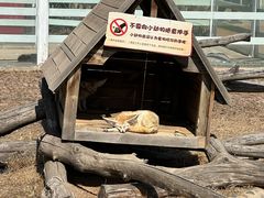 -齐齐哈尔龙沙动植物园