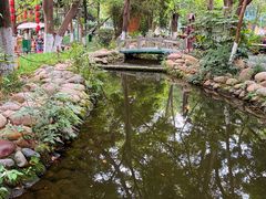 -成都市活水公园