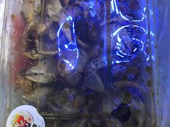 -蒋国权蟛蜞螯权鸭馆(天鹤店)