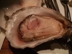 -普朗姆生蚝吧(原建国路店)
