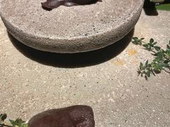 -Magnet磁食(愚园路店)