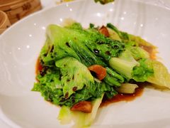 白灼生菜-粤珍轩·家宴·广式茶点(新城广场店)