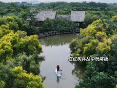 -大湾区中央湿地公园