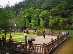 -广州白江湖森林公园