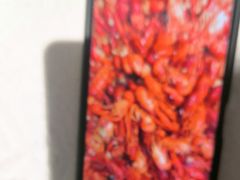 -东方威尼斯温泉酒店