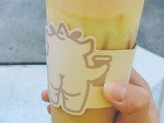 -茶力的小怪兽(梅林卓悦汇店)