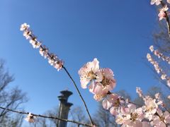 -北京奥林匹克公园