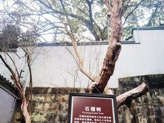 -白公馆