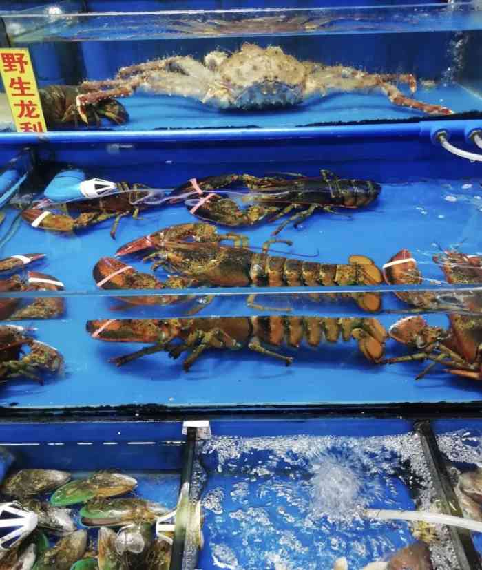 海宝湾海鲜美食城-"菜品味道不错,尤其是生蚝,很好吃.