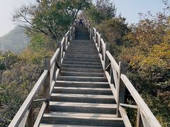 -大岭沟猕猴桃谷风景区